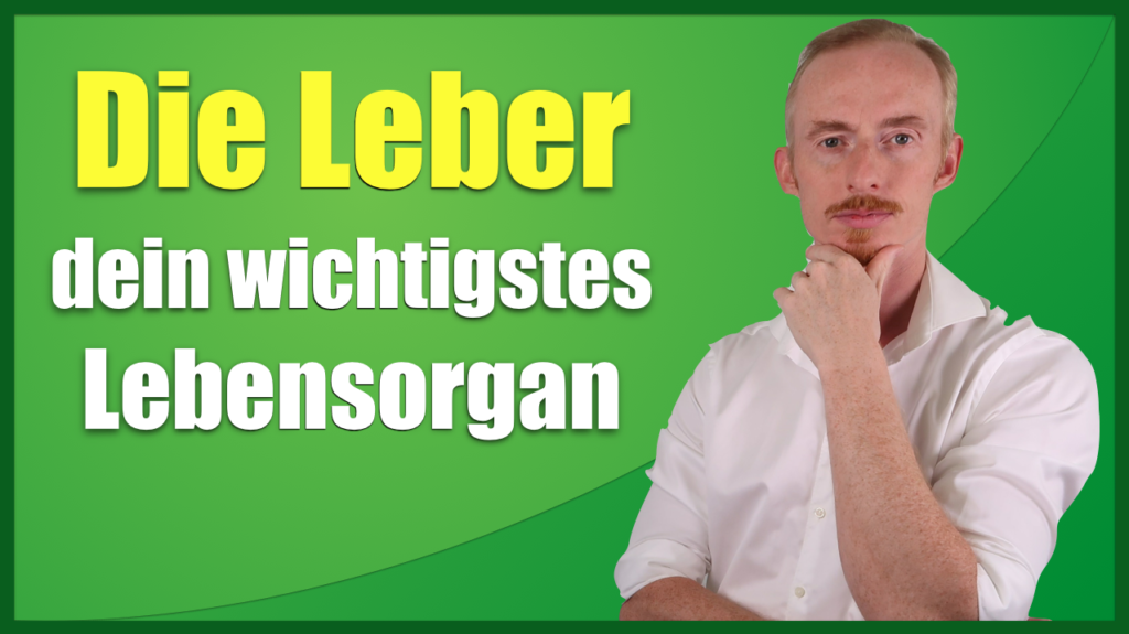 Die Leber - dein wichtigstes Lebensorgan