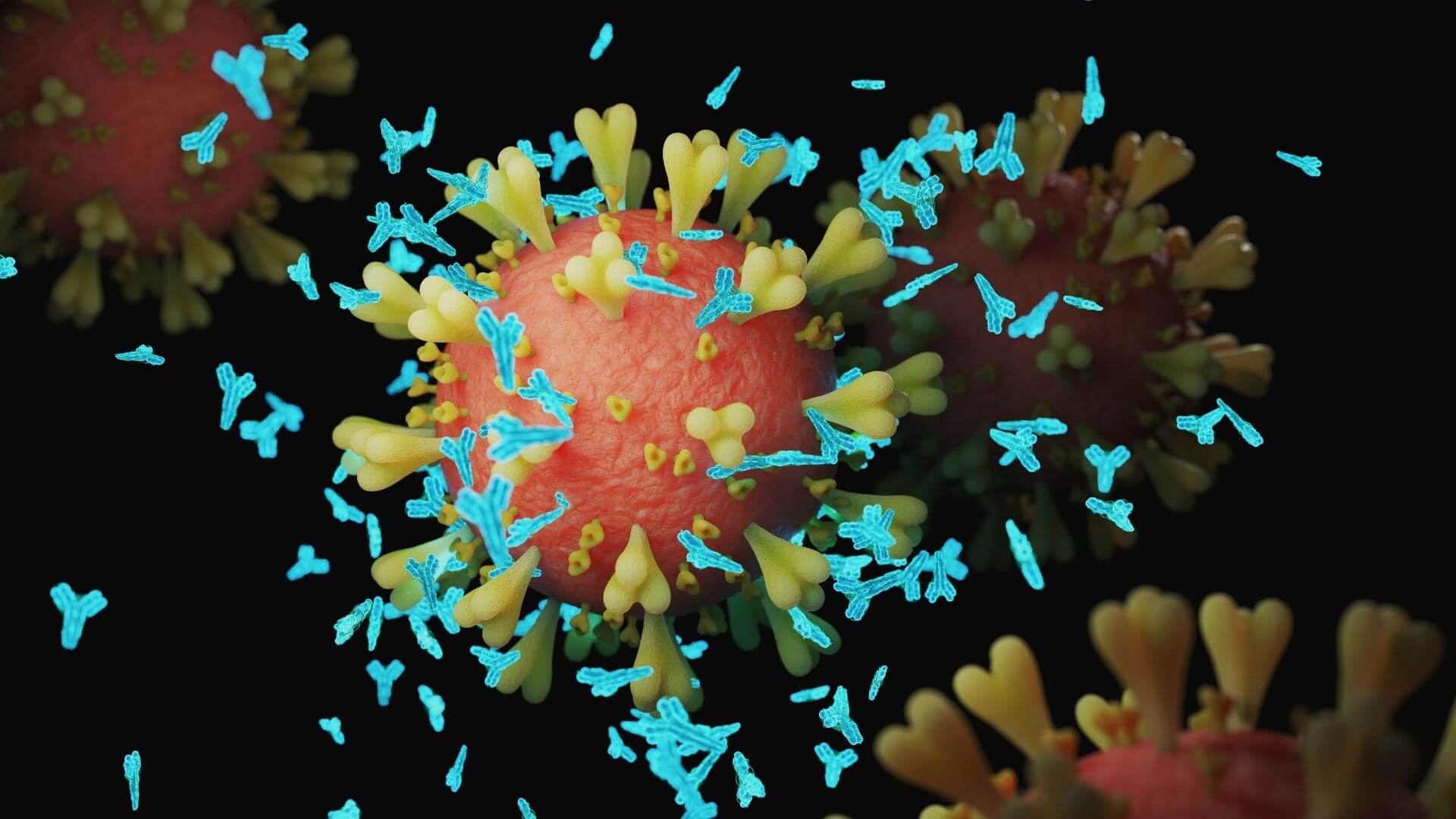 Animation Antikörper an einem Virus