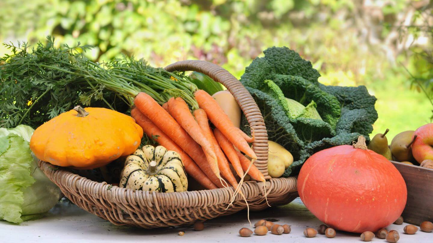 Saisonal & regionales Gemüse für eine lektinarme Ernährung