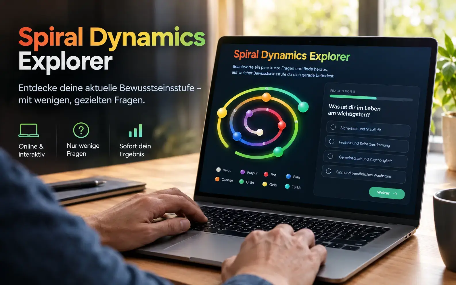 Der Spiral Dynamics Explorer auf einem Laptop